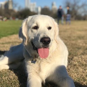 Meet your Posher, Jane